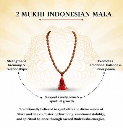2 Mukhi Indonesian Rudraksha Bead Mala (GGTL Certified)