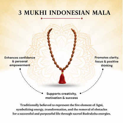 3 Mukhi Indonesian Rudraksha Beaded Mala