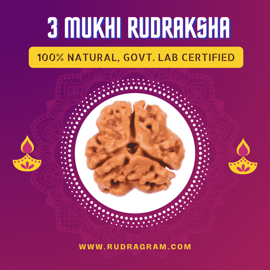 3 Mukhi Rudraksha