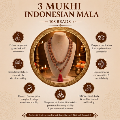 3 Mukhi Indonesian Rudraksha Beaded Mala