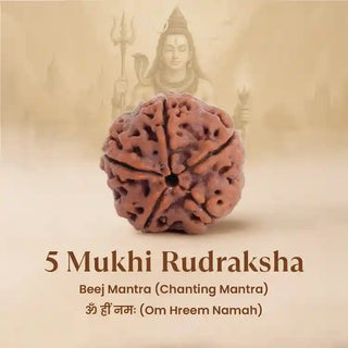 Five-faceted Rudraksha with Shiva in the background on a beige background