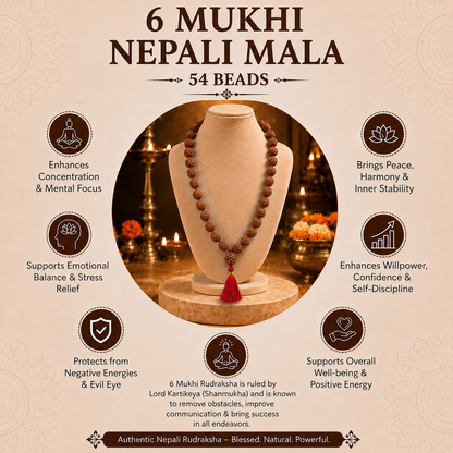 6 Mukhi Nepali Rudraksha Mala 54 Beads for Focus & Power