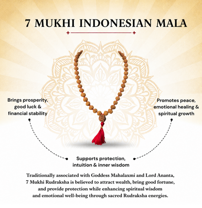 7 Mukhi Indonesian Rudraksha Mala for Prosperity & Success