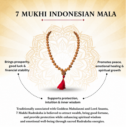 7 Mukhi Indonesian Rudraksha Mala for Prosperity & Success