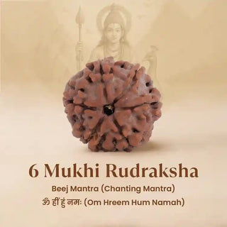 Six-faceted Rudraksha bead with an ancient-style illustration of a deity on a beige background.