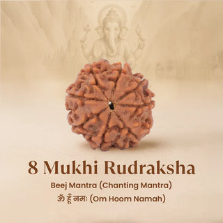 Eight-faced Rudraksha with Ganesha in the background on a beige background