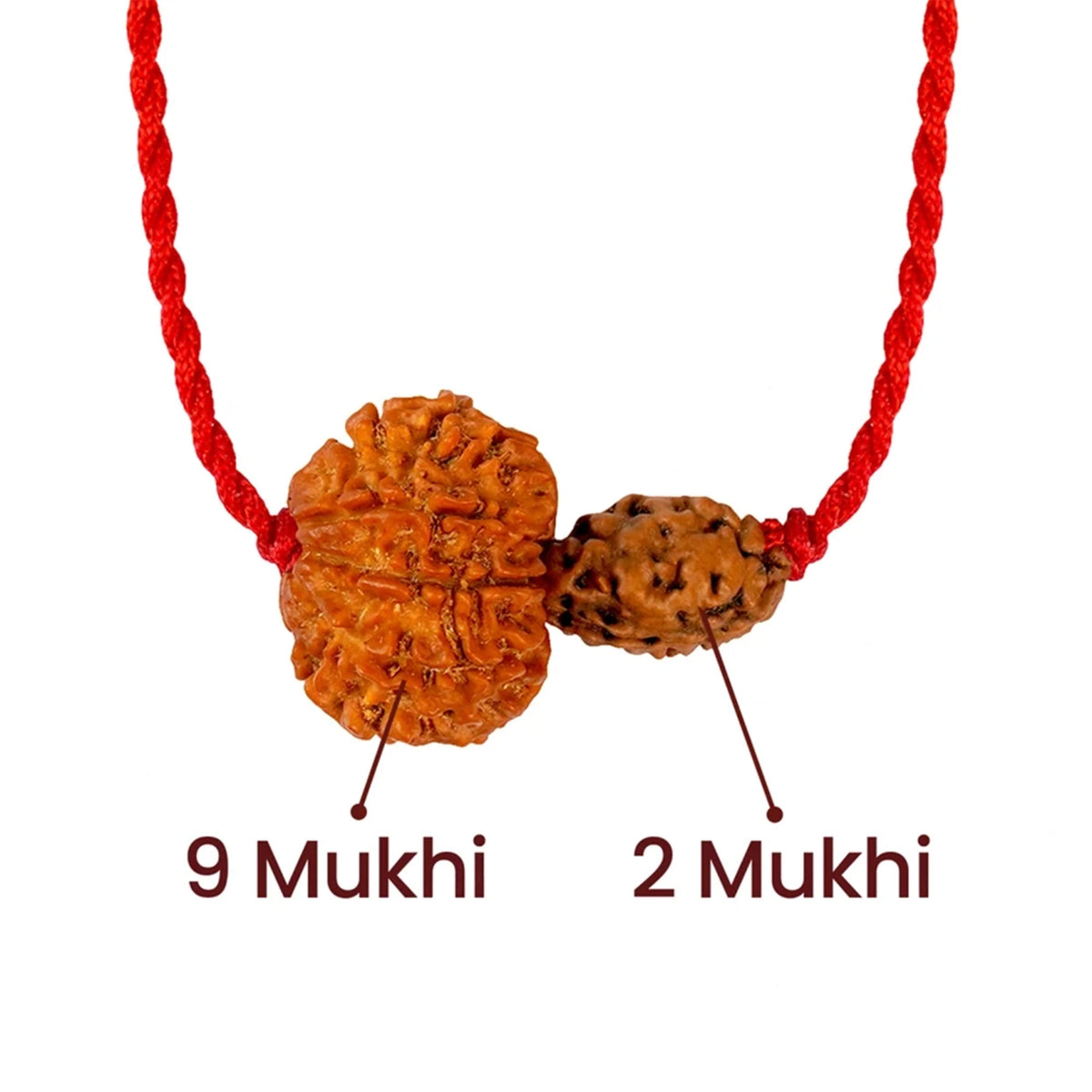 Chandra-Ketu Kavach – 2 & 9 Mukhi Nepali Rudraksha