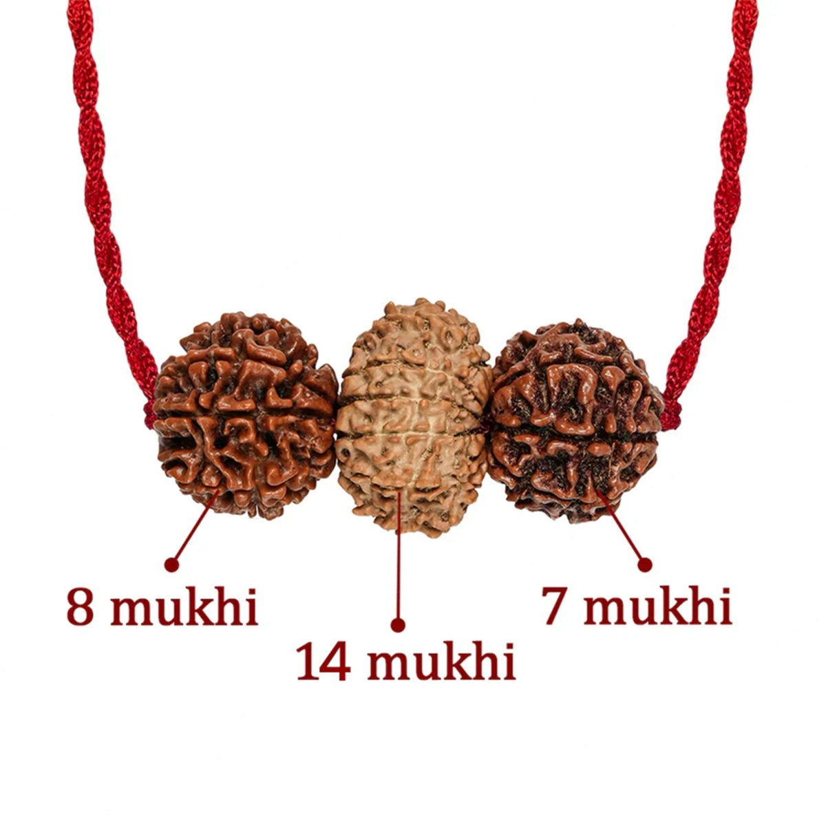 Brokers & Industrialists Kavach – 7, 8 & 14 Mukhi Rudraksha