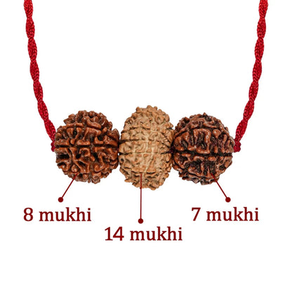 Brokers & Industrialists Kavach – 7, 8 & 14 Mukhi Rudraksha