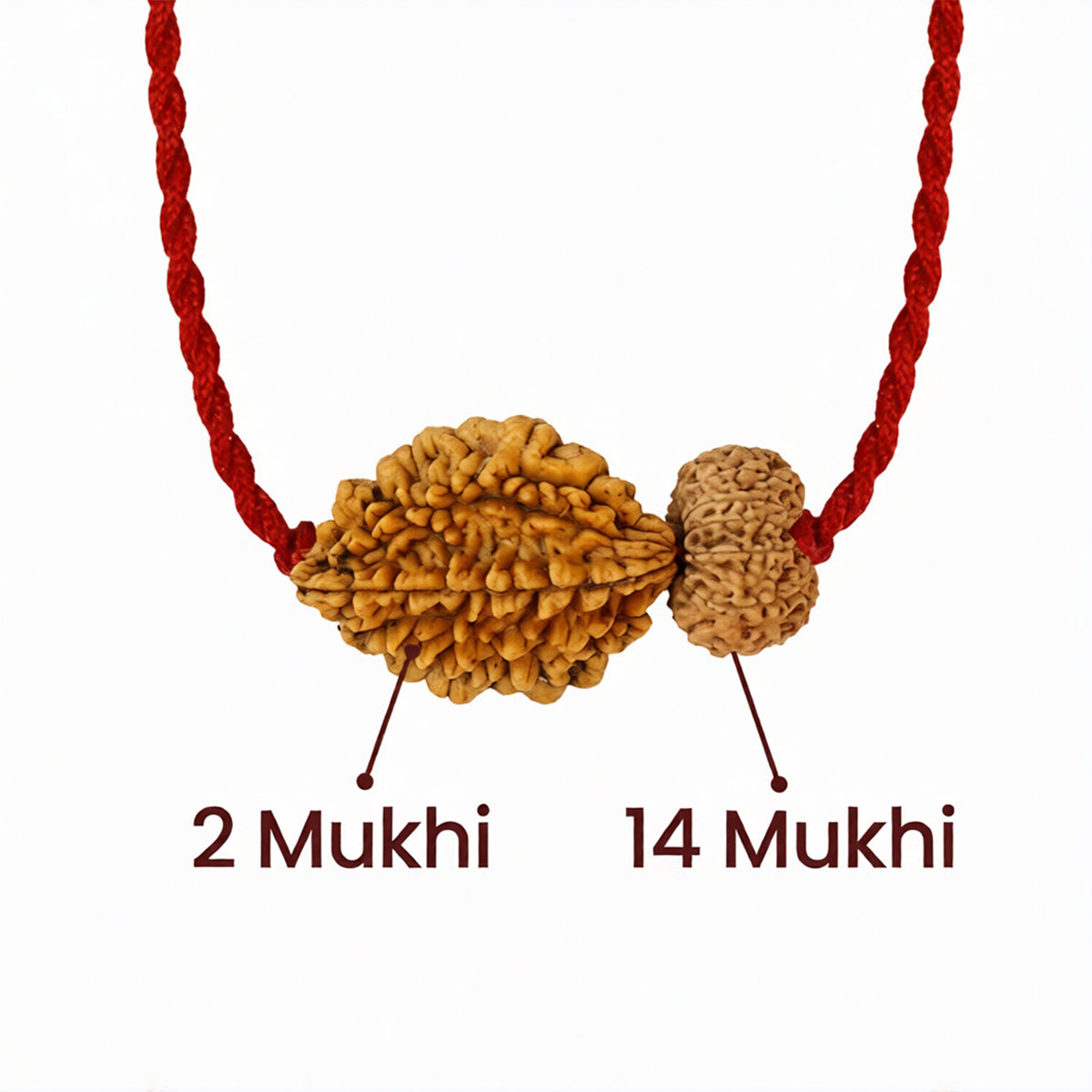 Chandra-Shani Dhairya Shakti Kavach – 2 & 14 Mukhi Rudraksha