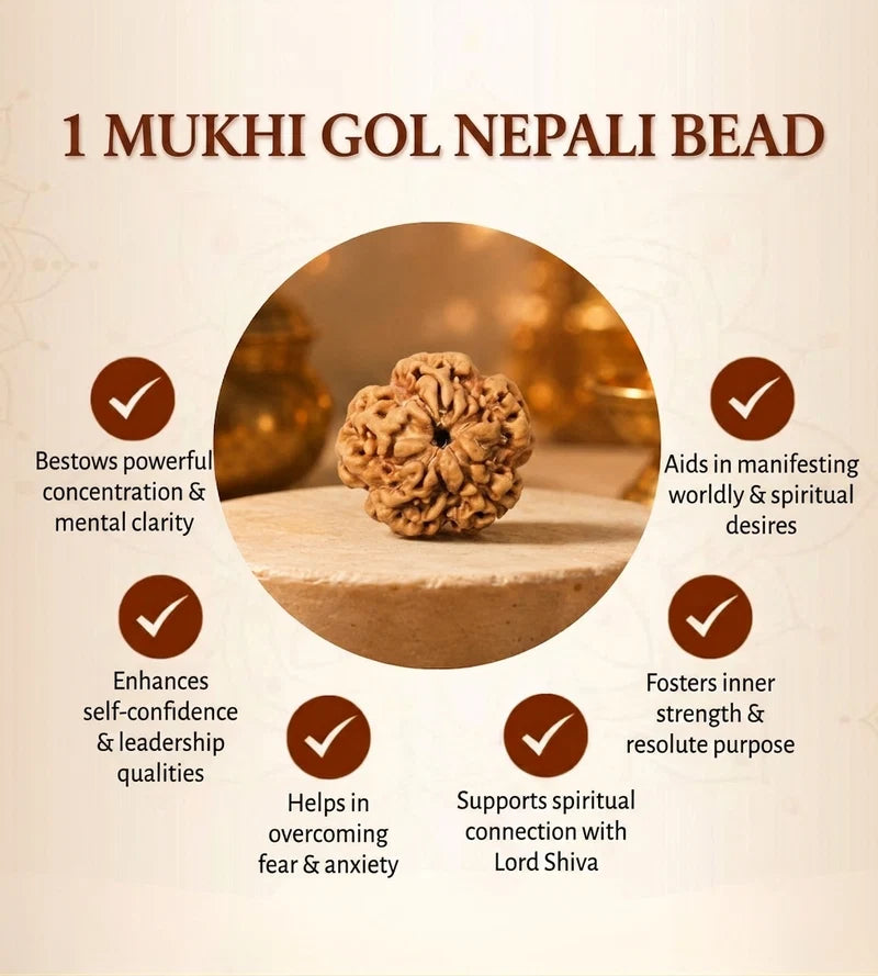 Nepal Origin 1 Mukhi Rudraksha – 100% Natural & Certified