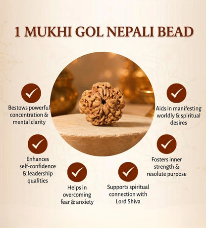 Nepal Origin 1 Mukhi Rudraksha – 100% Natural & Certified