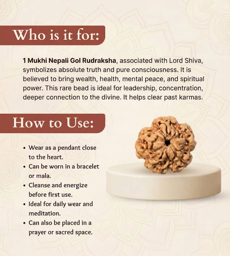 Nepal Origin 1 Mukhi Rudraksha – 100% Natural & Certified