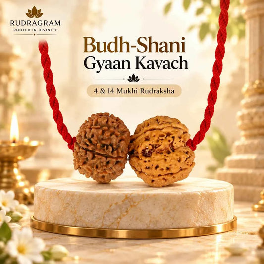 Budh-Shani Gyaan Kavach – 4 & 14 Mukhi Rudraksha