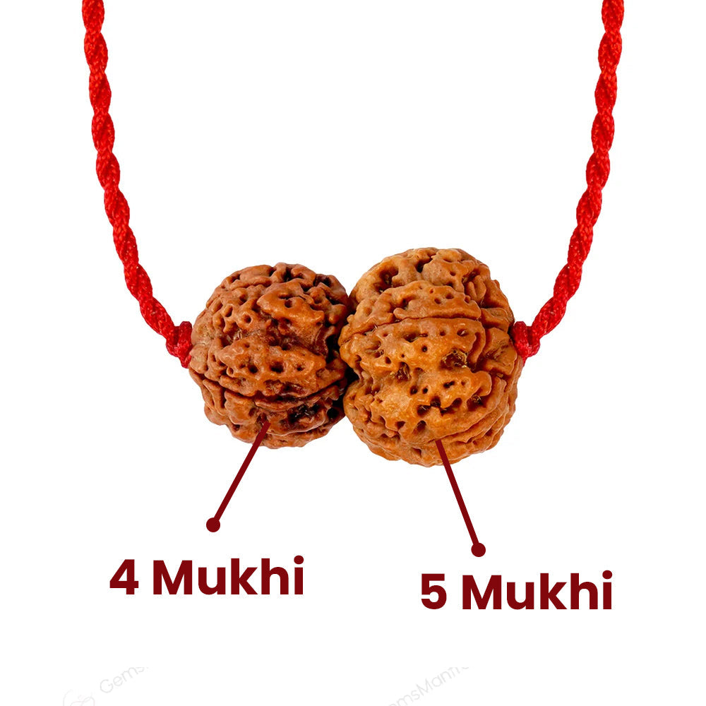 Budh-Guru Buddhi Vriddhi Kavach – 4 & 5 Mukhi Rudraksha