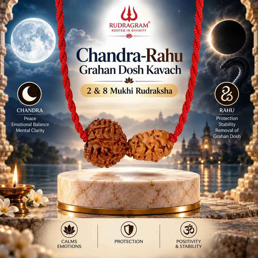Chandra-Rahu Grahan Dosh Kavach – 2 & 8 Mukhi Nepali Rudraksha