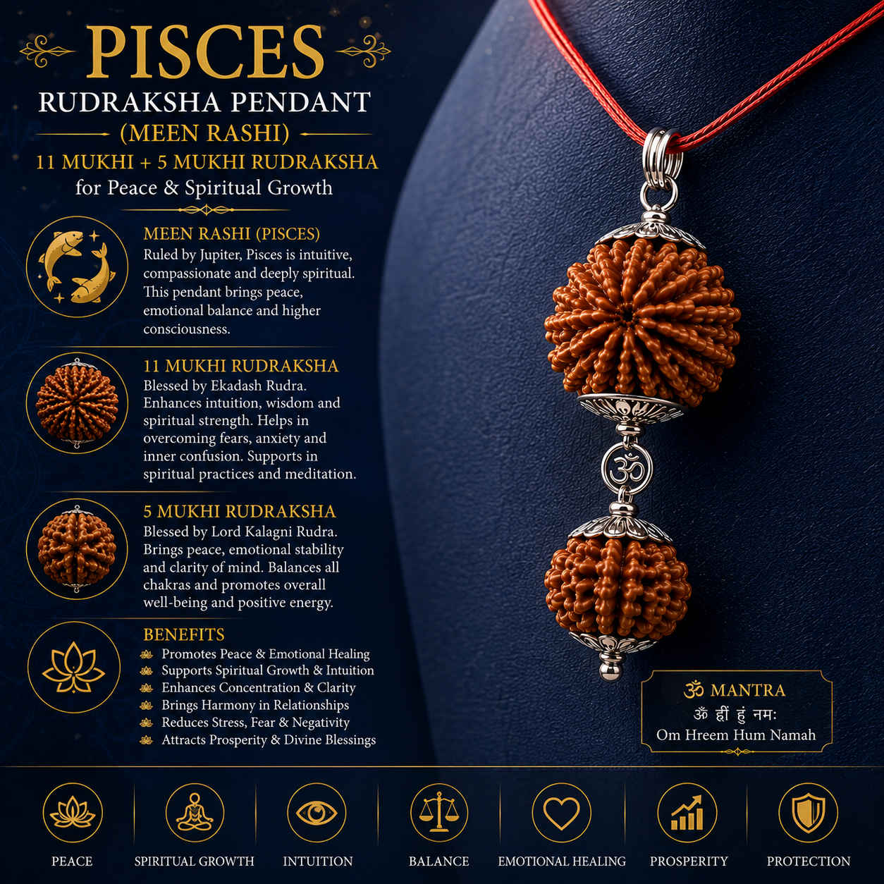 A Pisces Rudraksha pendant necklace displayed on a dark navy textured background with detailed spiritual text, icons, and mantras. The pendant features two brown textured rudraksha beads connected by silver-toned metal spacers and a red cord.