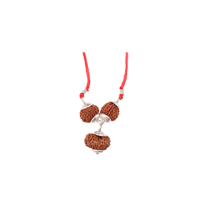 Rudraksha Combination For sales executives