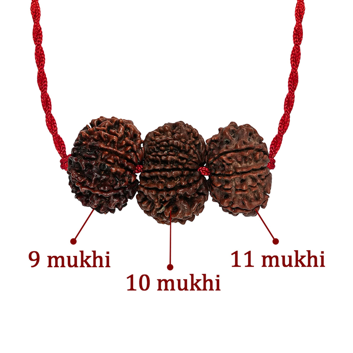 Evil Eye Raksha Kavach – 9, 10 & 11 Mukhi Rudraksha