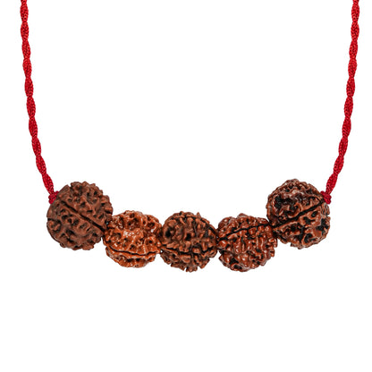 Arogya Raksha Kavach – 3 Mukhi Rudraksha