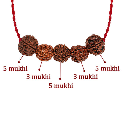 Arogya Raksha Kavach – 3 Mukhi Rudraksha