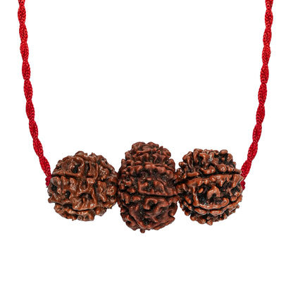 Shakti Kavach – 7 & 9 Mukhi Rudraksha