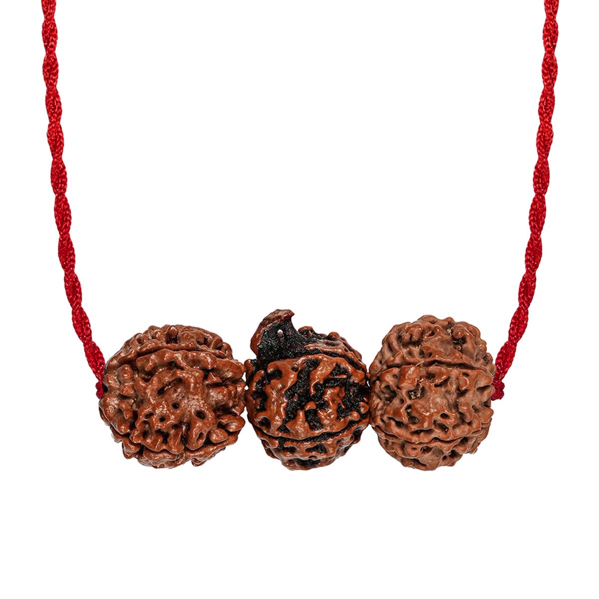 Saraswati Gyaan Kavach – 4 & 6 Mukhi + Ganesh Rudraksha
