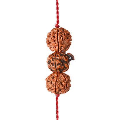Saraswati Gyaan Kavach – 4 & 6 Mukhi + Ganesh Rudraksha