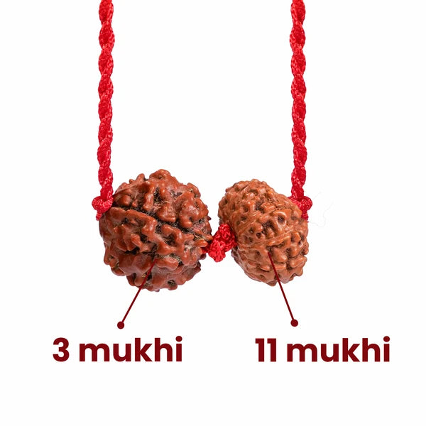 Aries Zodiac (Mesha Rashi) Rudraksha Kavach