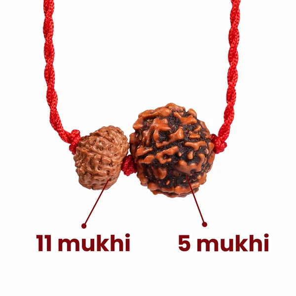 Sagittarius Zodiac (Dhanu Rashi) Rudraksha Kavach