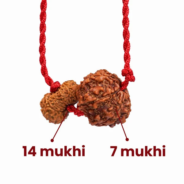 Capricorn Zodiac (Makar Rashi) Rudraksha Kavach
