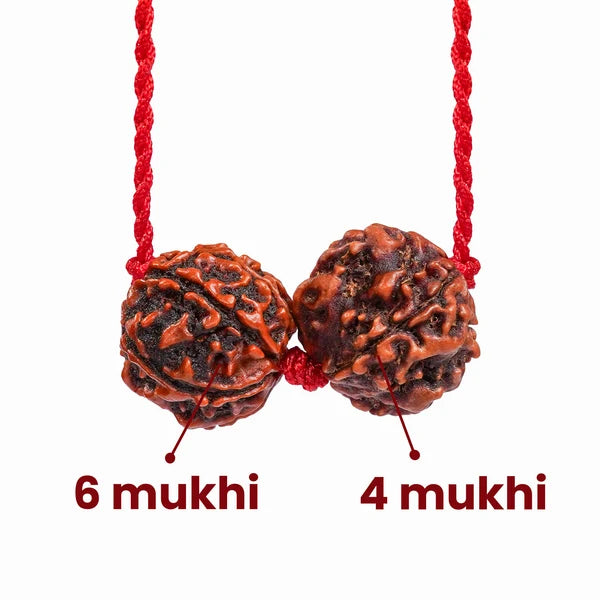 Libra Zodiac (Tula Rashi) Rudraksha Kavach