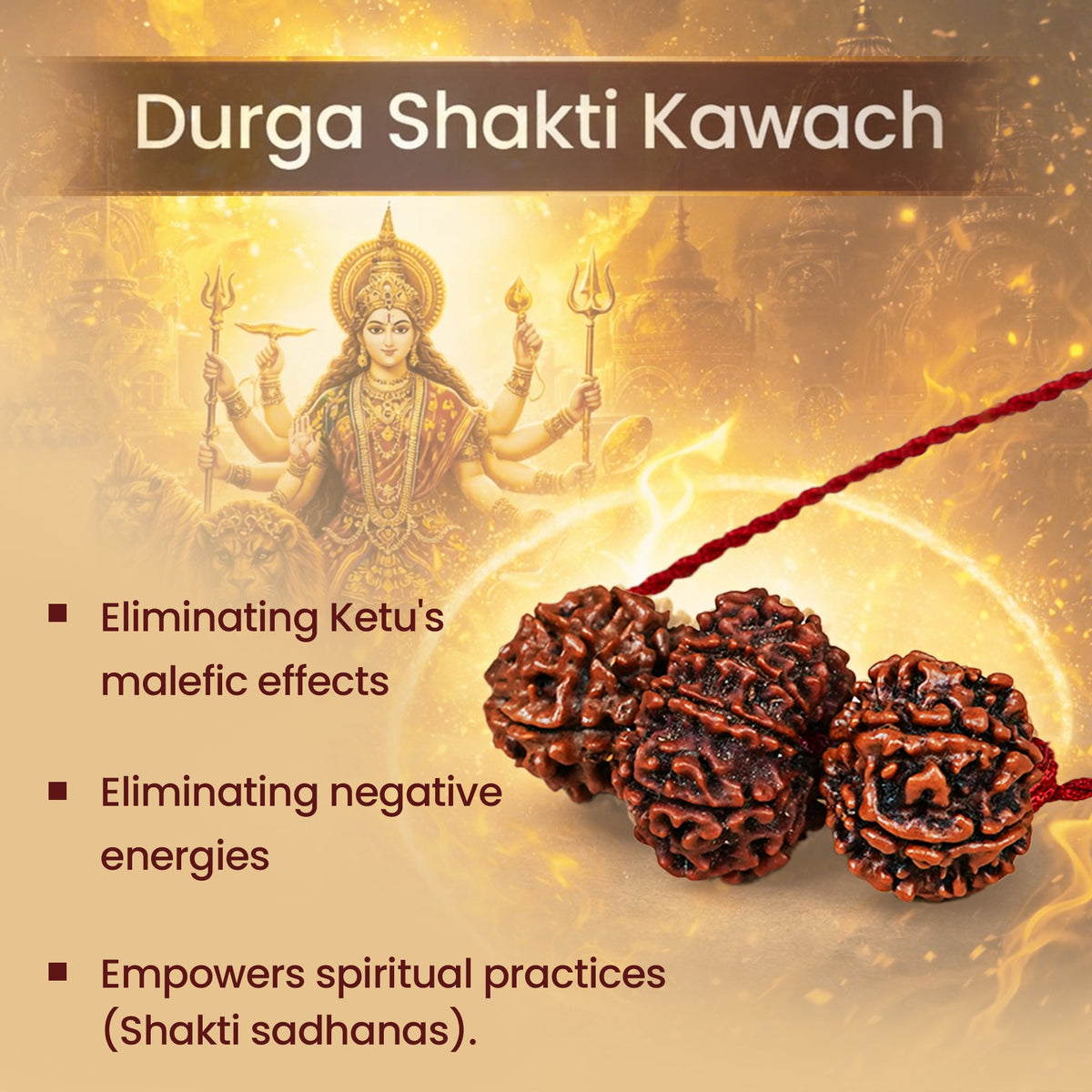 Shakti Kavach – 7 & 9 Mukhi Rudraksha