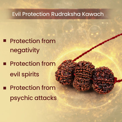 Evil Eye Raksha Kavach – 9, 10 & 11 Mukhi Rudraksha