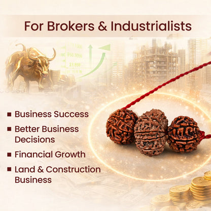Vyapar Vriddhi Kavach – 7, 8 & 12 Mukhi Rudraksha