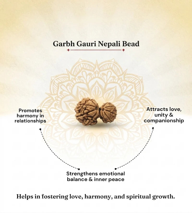 Nepal Origin Garbh Gauri Rudraksha – 100% Natural & Certified