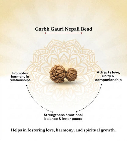 Nepal Origin Garbh Gauri Rudraksha – 100% Natural & Certified