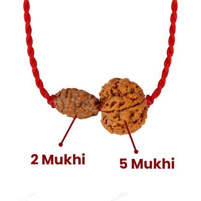 Gajkesari Yog Kavach – 2 & 5 Mukhi Rudraksha