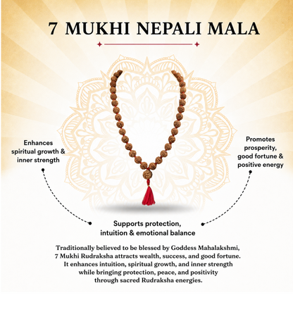7 Mukhi Nepali Rudraksha Beads Mala