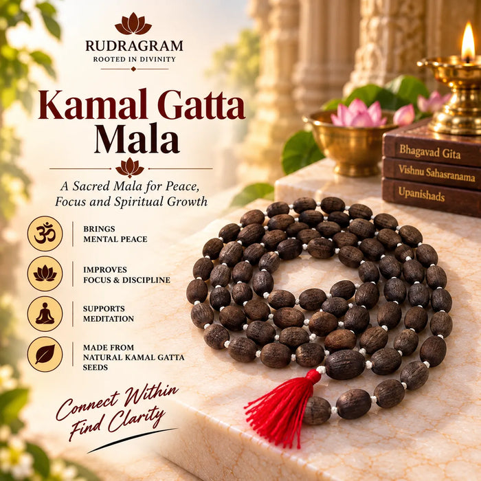 Kamal Gatta Mala – 108+1 Lotus Seed Beads, 100% Natural