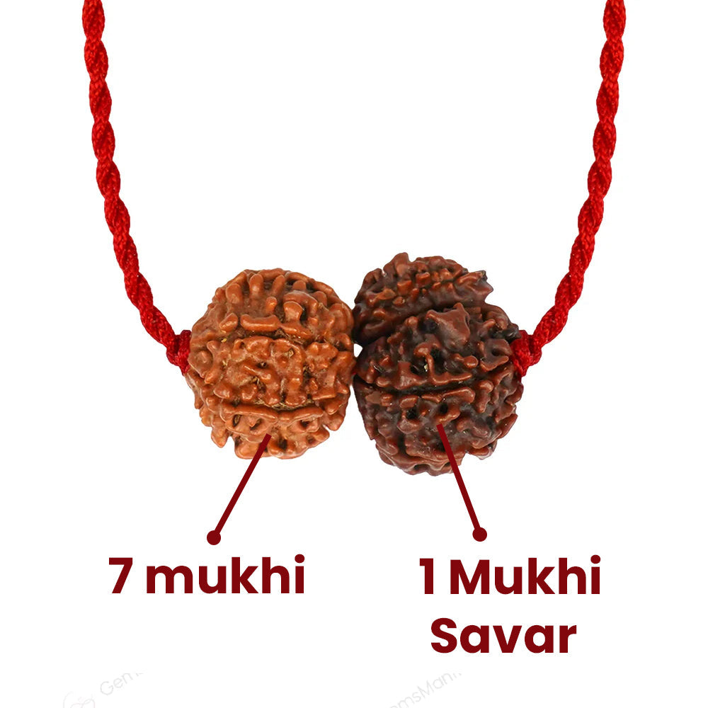Mangal-Shani Karma Shakti Kavach – 1 & 7 Mukhi Rudraksha