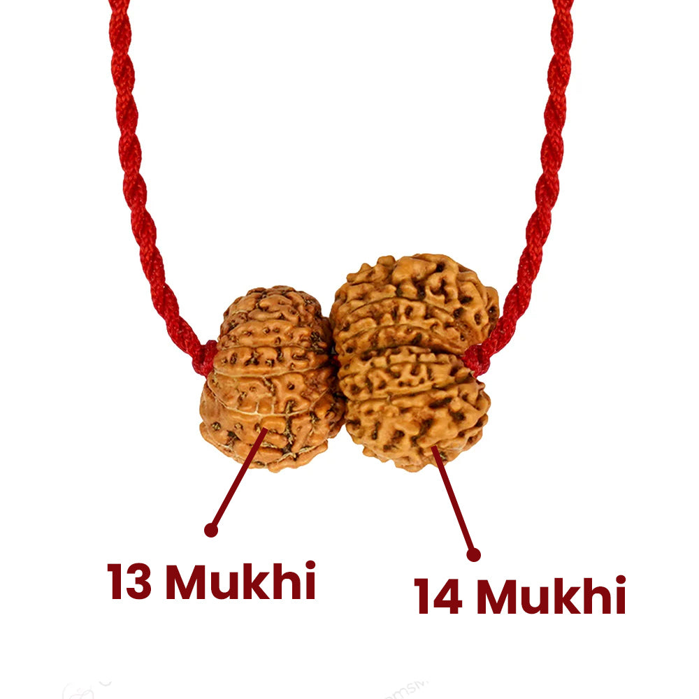 Shukra-Shani Vyapar Rajyog Kavach – 13 & 14 Mukhi Rudraksha