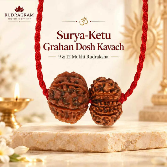 Surya-Ketu Grahan Dosh Kavach – 9 & 12 Mukhi Nepali Rudraksha