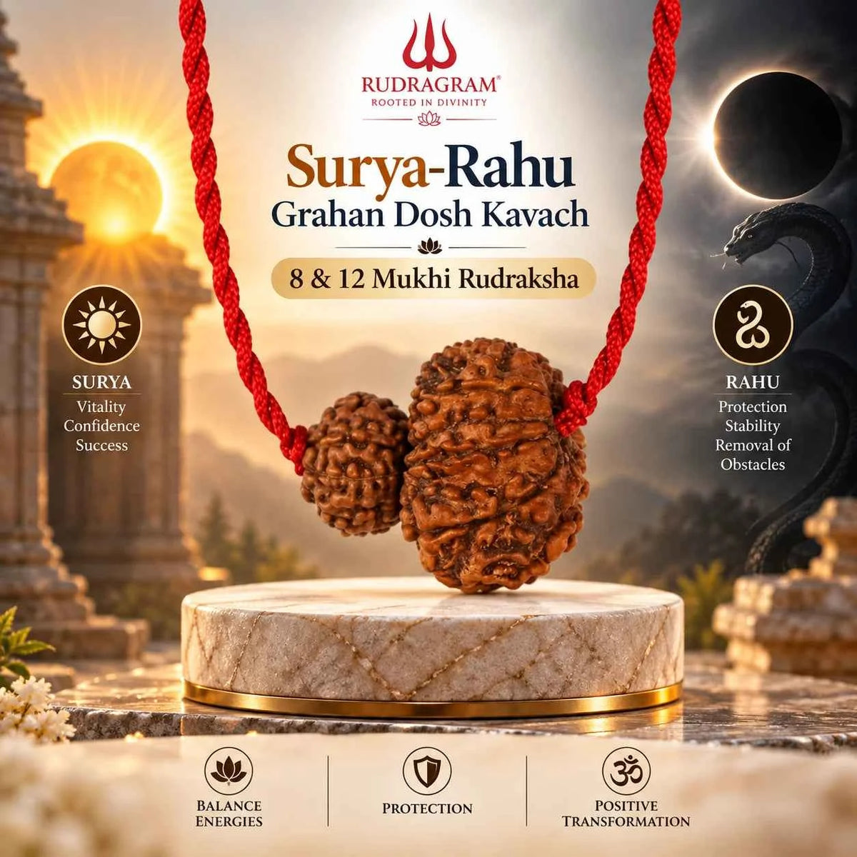 Surya-Rahu Grahan Dosh Kavach – 8 & 12 Mukhi Rudraksha