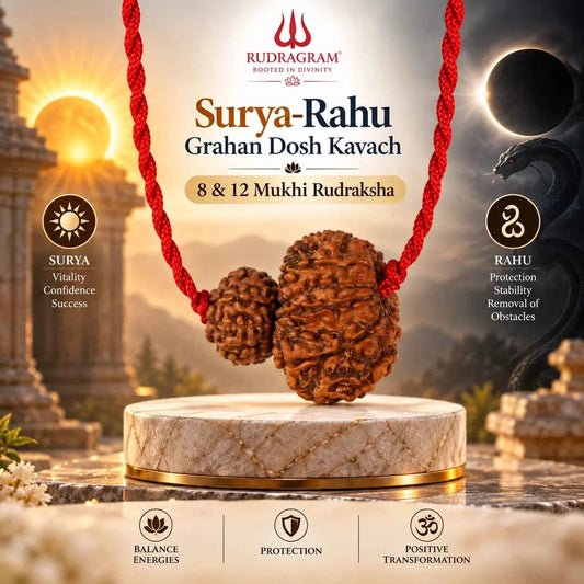 Surya-Rahu Grahan Dosh Kavach – 8 & 12 Mukhi Rudraksha