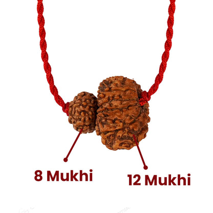 Surya-Rahu Grahan Dosh Kavach – 8 & 12 Mukhi Rudraksha
