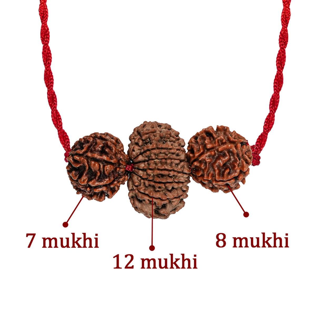 Vyapar Vriddhi Kavach – 7, 8 & 12 Mukhi Rudraksha