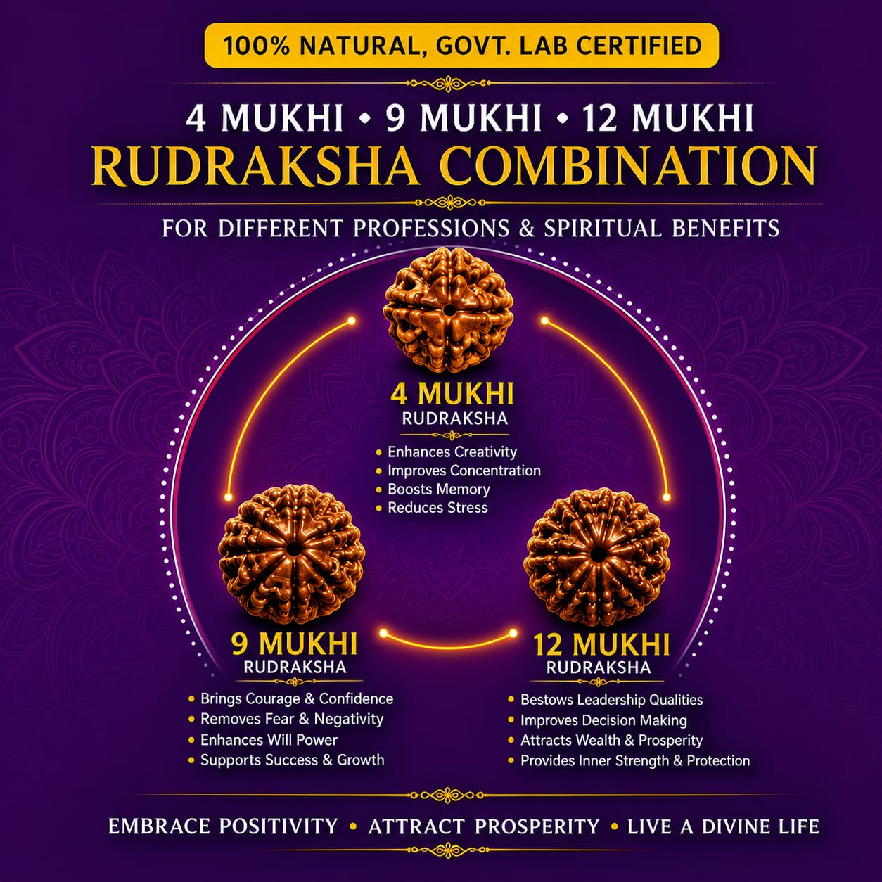 Rudraksha Sets for Doctors, Meditation, Protection & Power