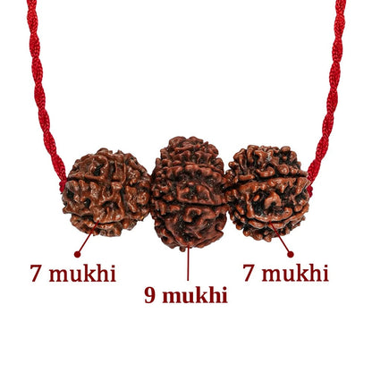 Shakti Kavach – 7 & 9 Mukhi Rudraksha