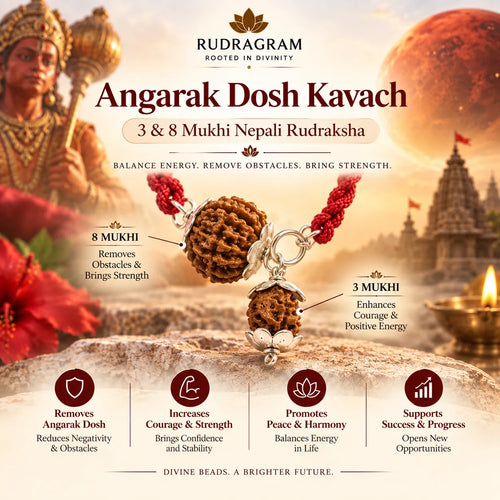 Angarak Dosh Kavach – 3 & 8 Mukhi Nepali Rudraksha